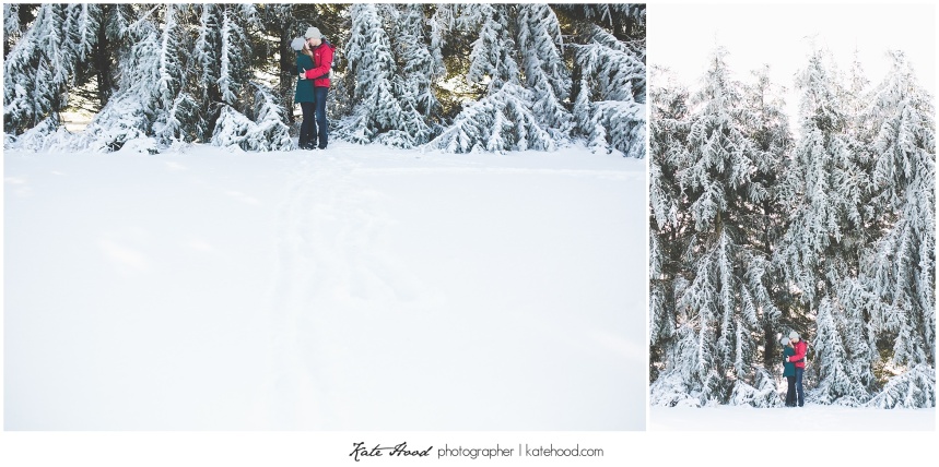  Winter Engagement Photography